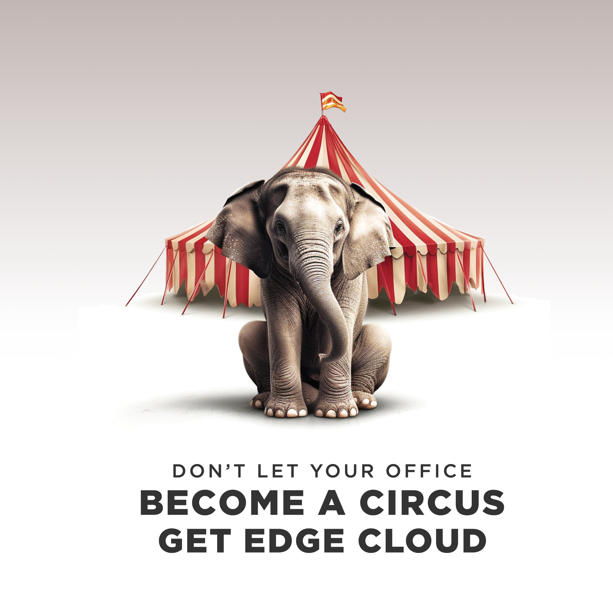 Don't let your office become a circus. Get Edge Cloud.